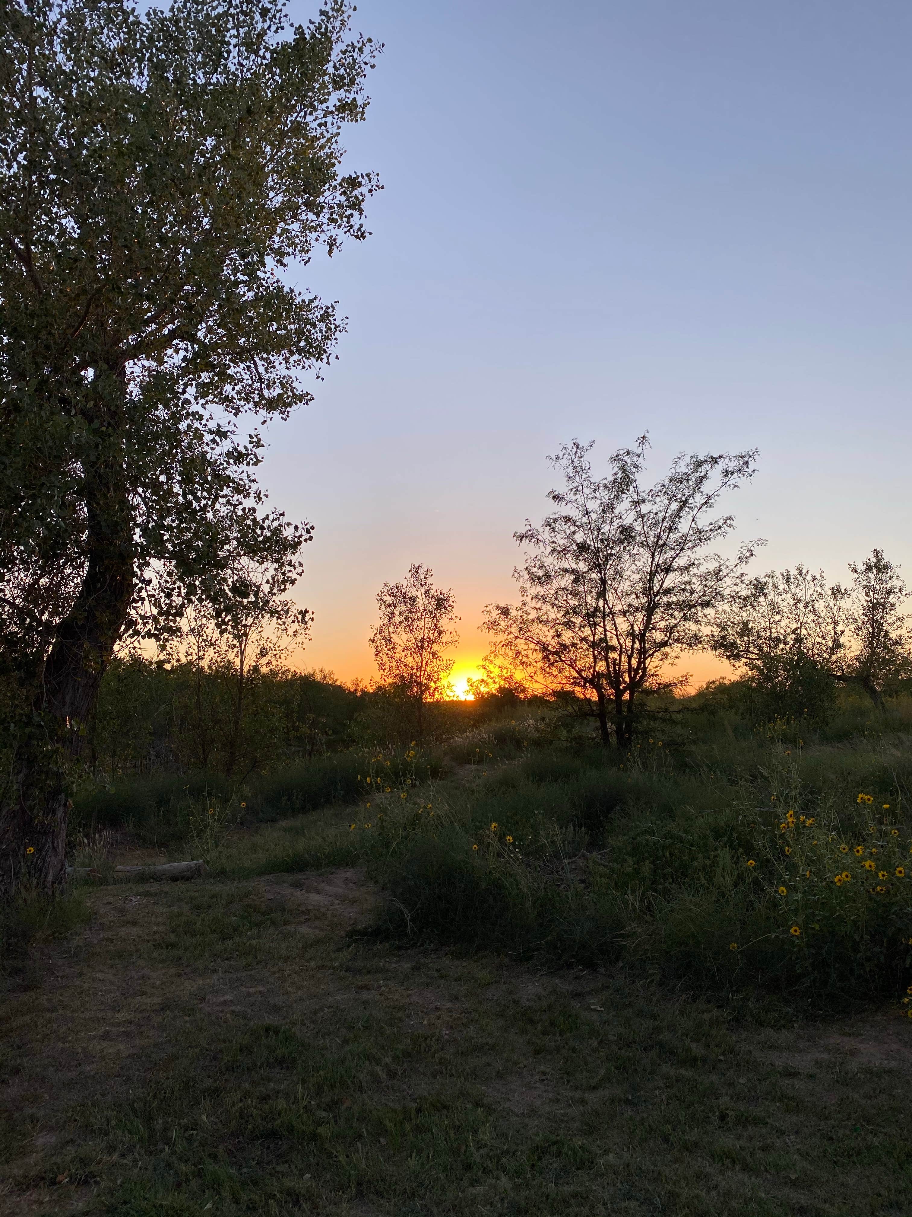Camper-submitted photo at Cimarron Campground near Richfield, KS