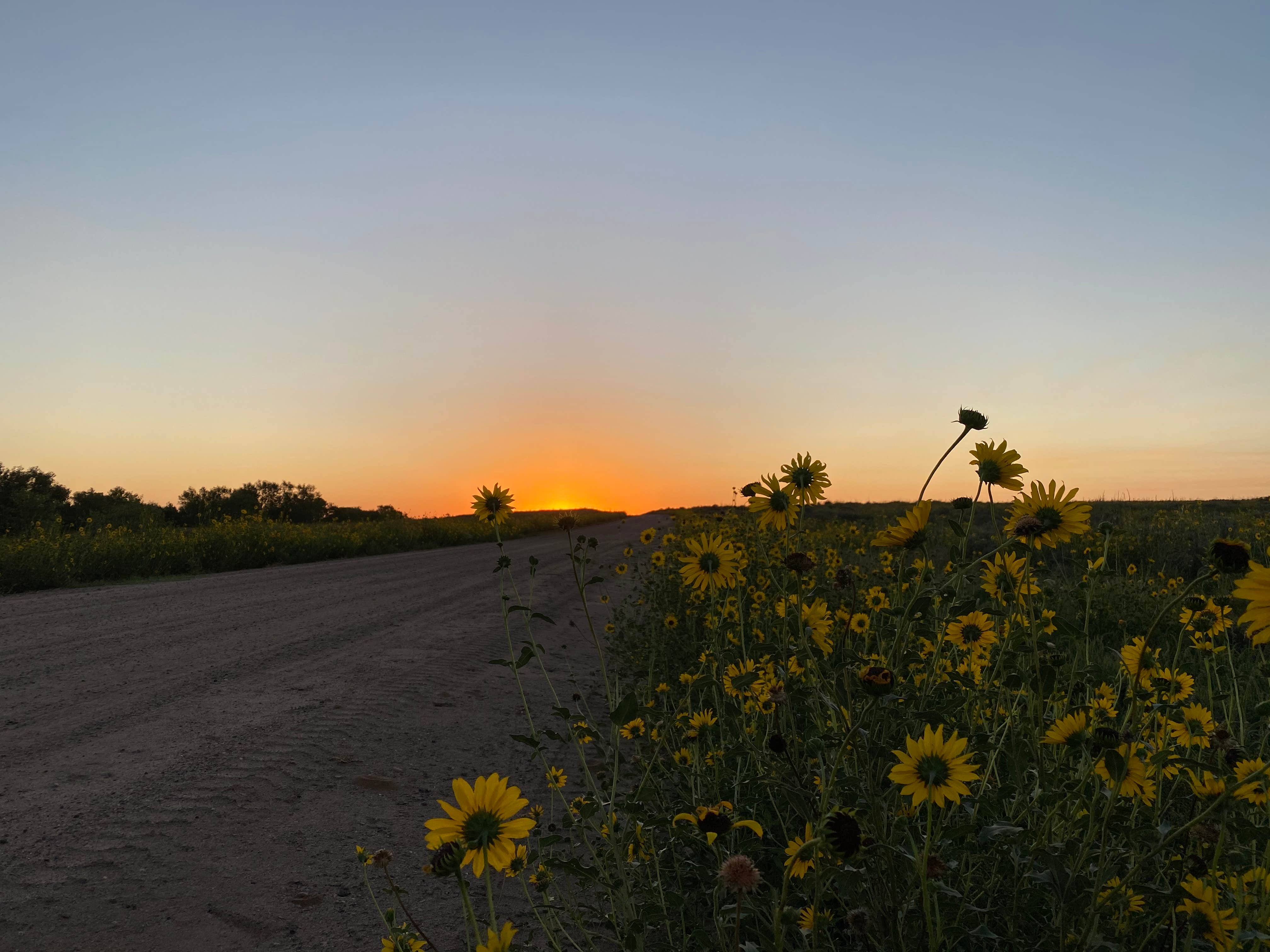 Camper-submitted photo at Cimarron Campground near Richfield, KS
