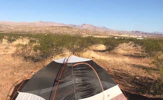 Taylor's photo at Black Rock Road Dispersed near Littlefield, AZ