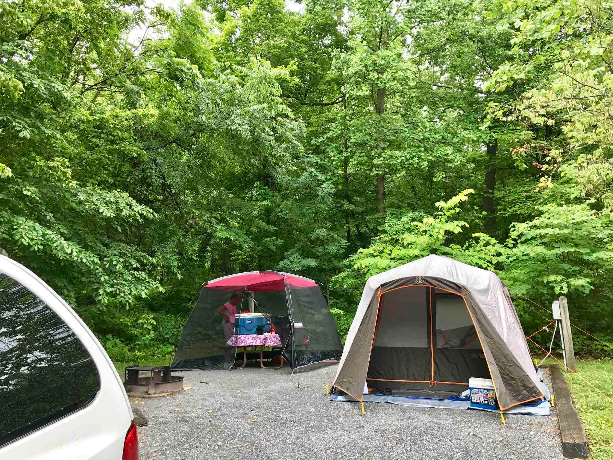 Camper submitted image from Greenbrier State Park Campground - TEMPORARILY CLOSED - 5