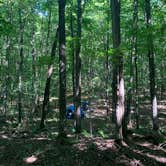 Review photo of Copper Falls State Park Campground by Whitney B., September 6, 2020