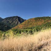 Review photo of Squaw Peak Road Dispersed by Meg , September 6, 2020