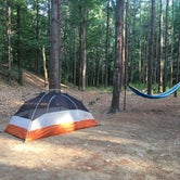 Review photo of Wompatuck State Park Campground by Gabe , September 6, 2020