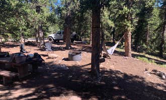 Camping near Horseshoe Campground: Fourmile Campground, Alma, Colorado