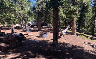 Ryan S.'s photo at Fourmile Campground near Fairplay, CO