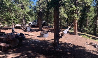 Camping near Wandering Moose Meadows: Fourmile Campground, Alma, Colorado