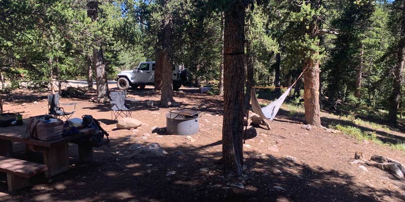 Camper submitted image from Fourmile Campground