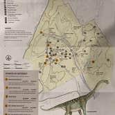 Review photo of Dinosaur Valley State Park — Dinosaur Valley State Park by Mic R., September 6, 2020