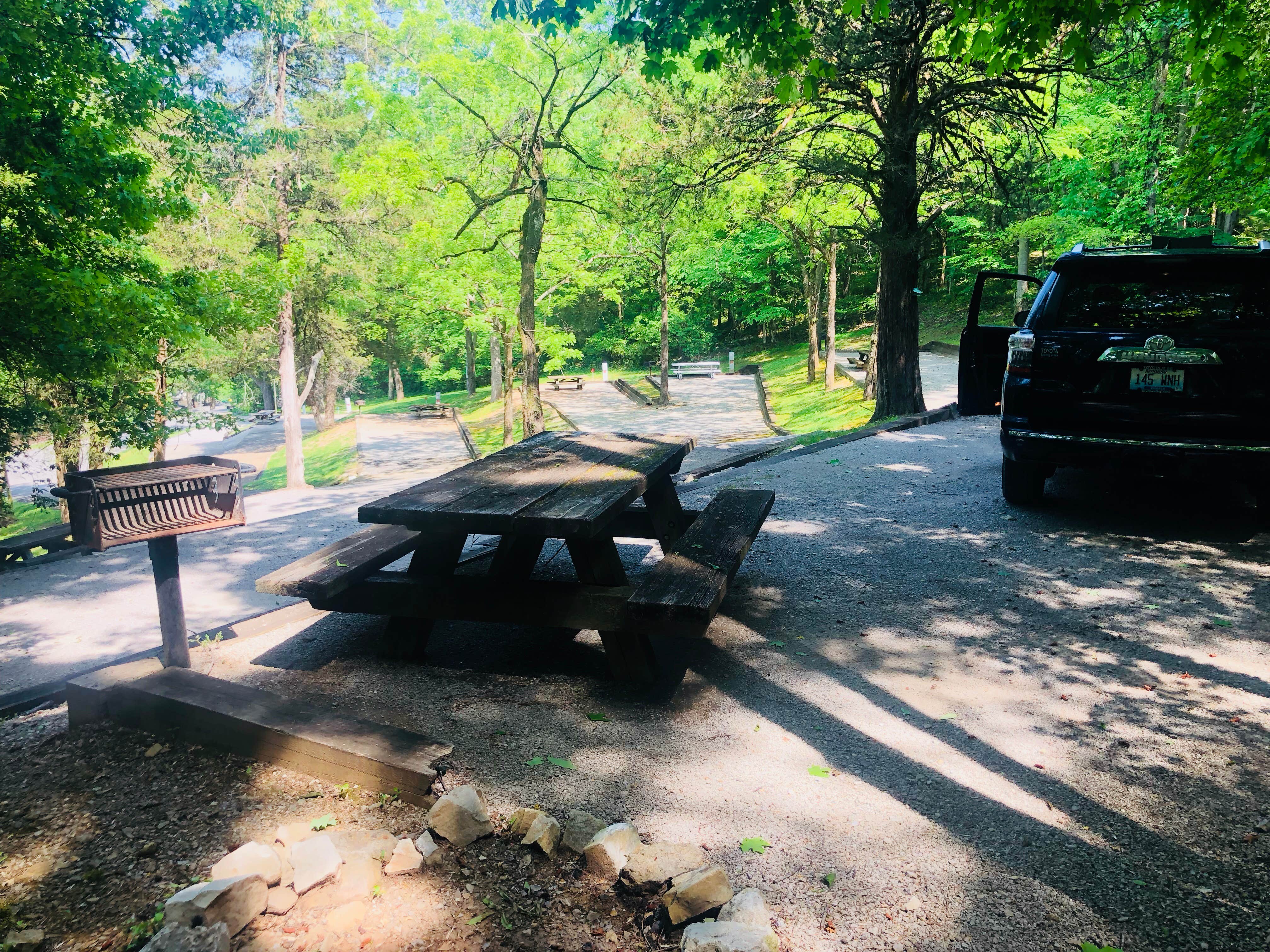 Camper submitted image from Floating Mill - Center Hill Lake - 4
