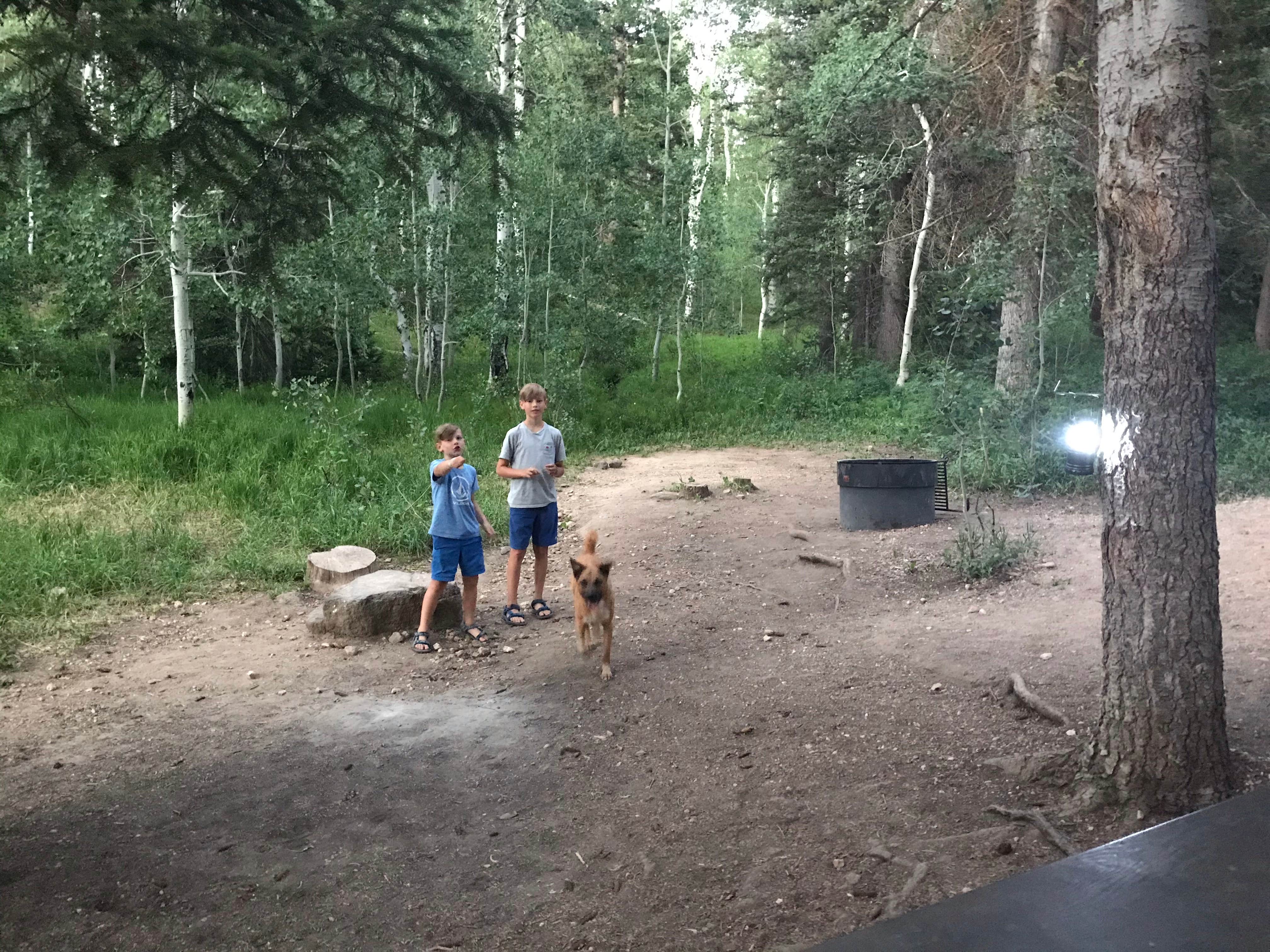 Royce's photo of camping with pets at Cedar Canyon near Cedar City, UT