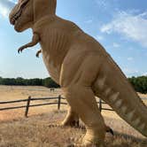 Review photo of Dinosaur Valley State Park — Dinosaur Valley State Park by Mic R., September 6, 2020