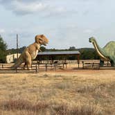 Review photo of Dinosaur Valley State Park — Dinosaur Valley State Park by Mic R., September 6, 2020