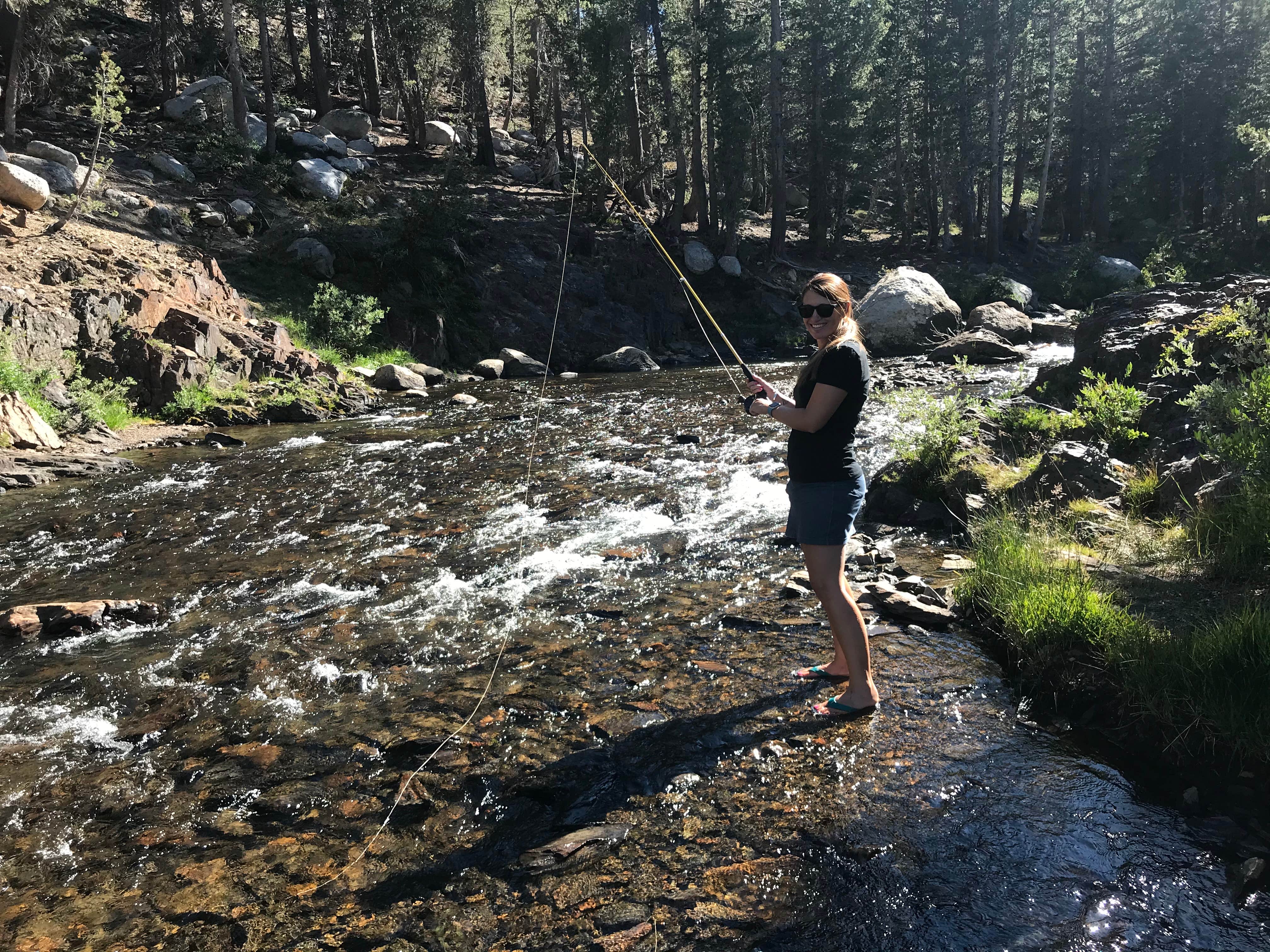Camper submitted image from Ellery Campground - 3