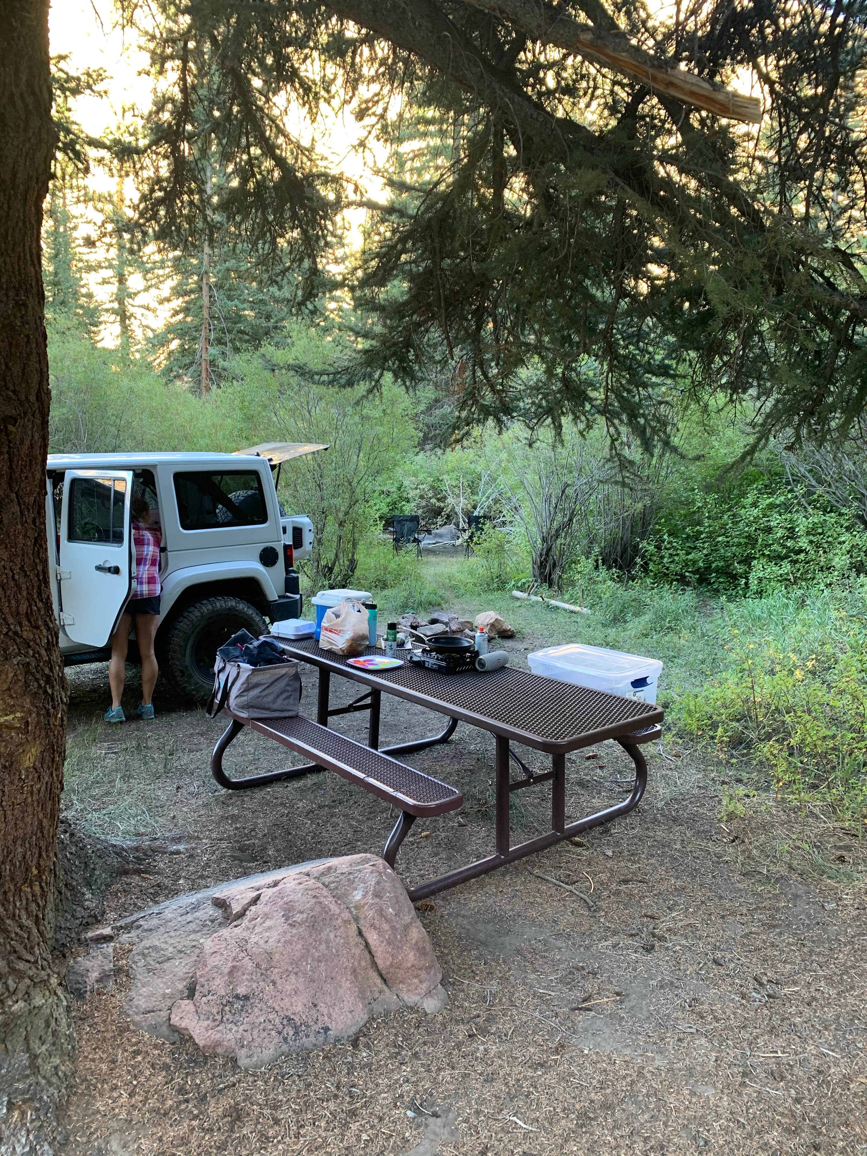 Camper-submitted photo at Cochetopa Canyon Recreation Area near Powderhorn, CO