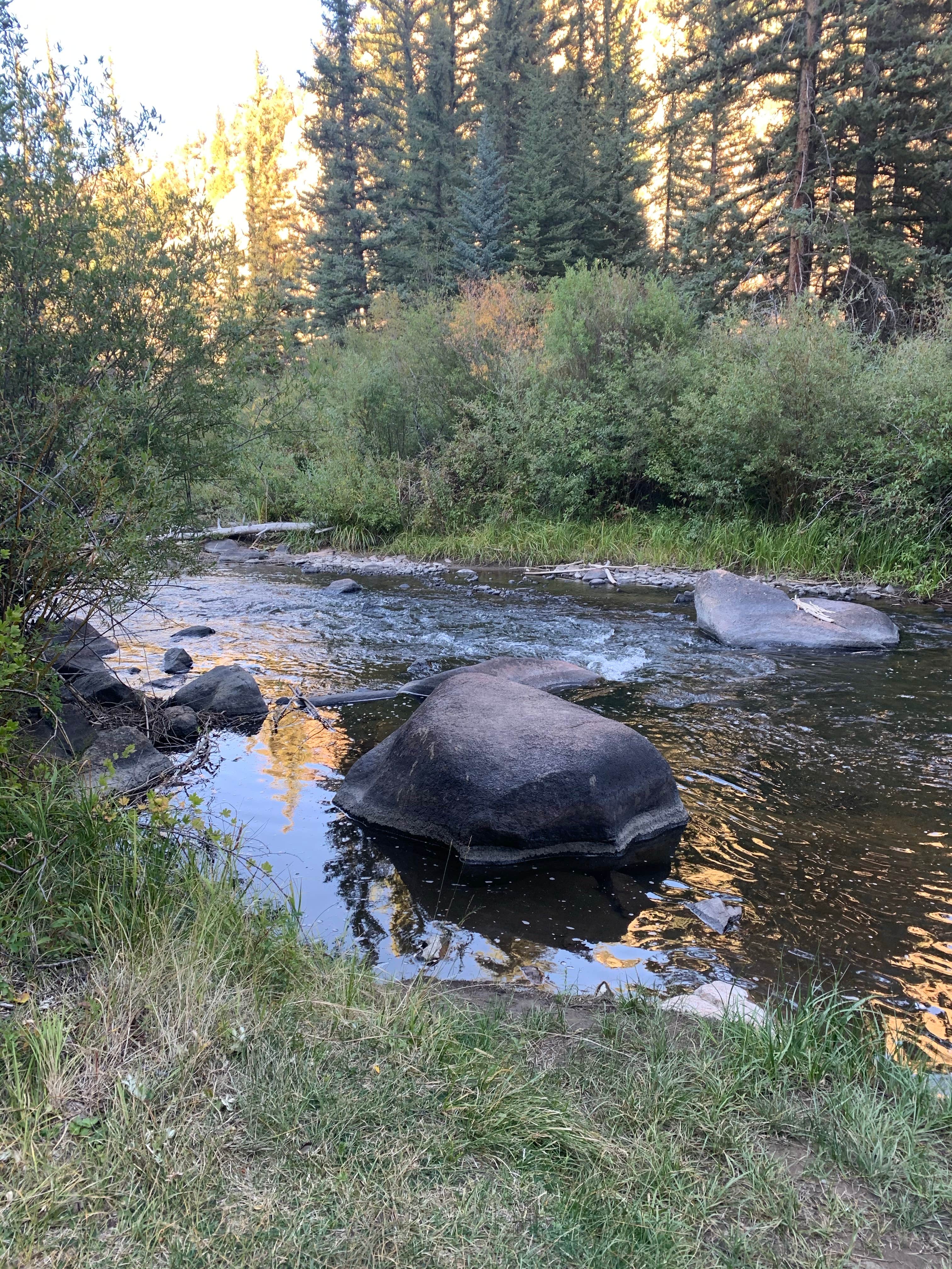 Camper-submitted photo at Cochetopa Canyon Recreation Area near Powderhorn, CO