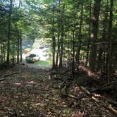 Review photo of DevilDoc Campsites by Meg , September 6, 2020