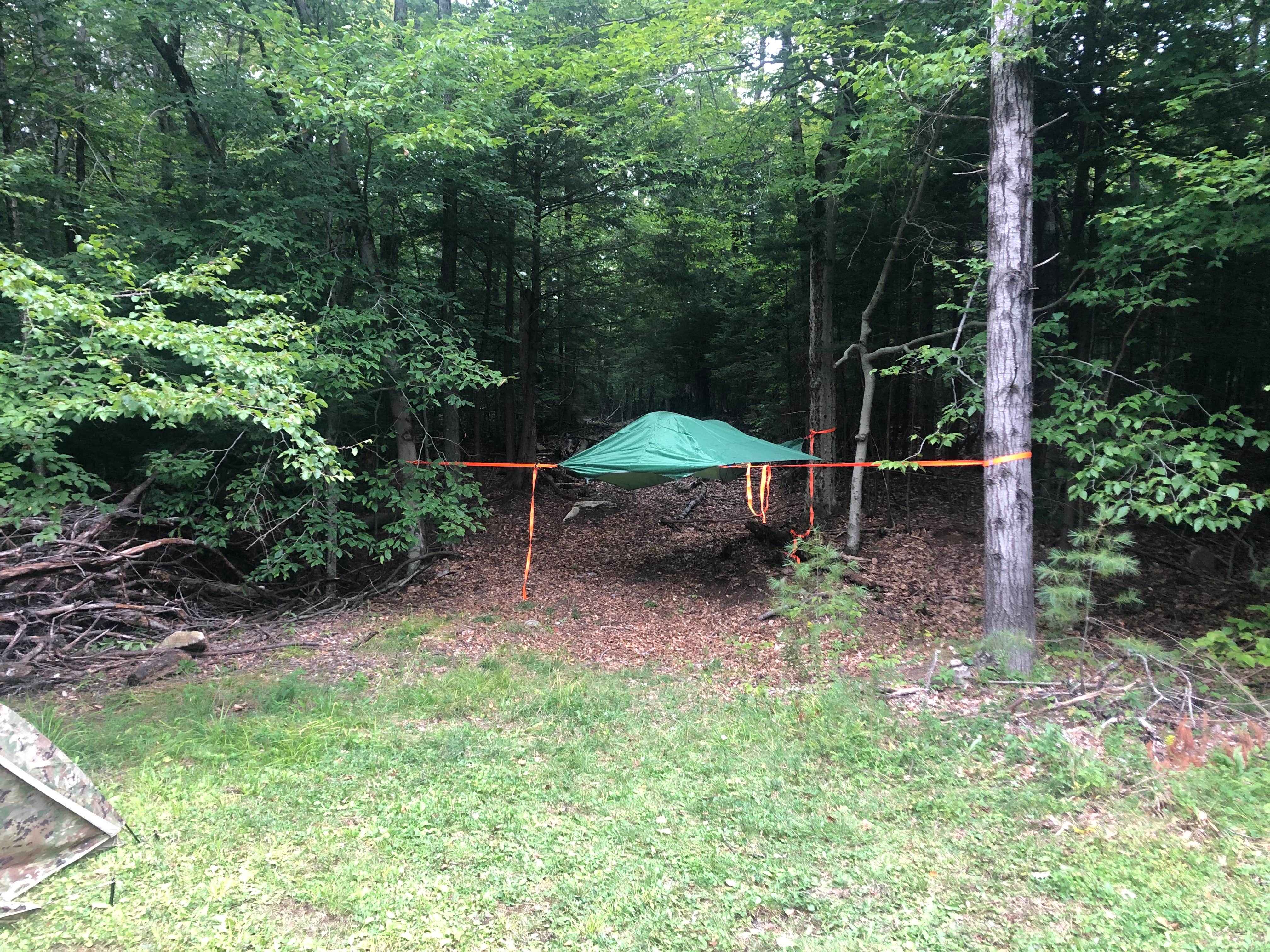 Meg's photo at DevilDoc Campsites in New York