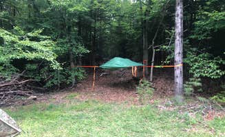 Meg's photo at DevilDoc Campsites in New York