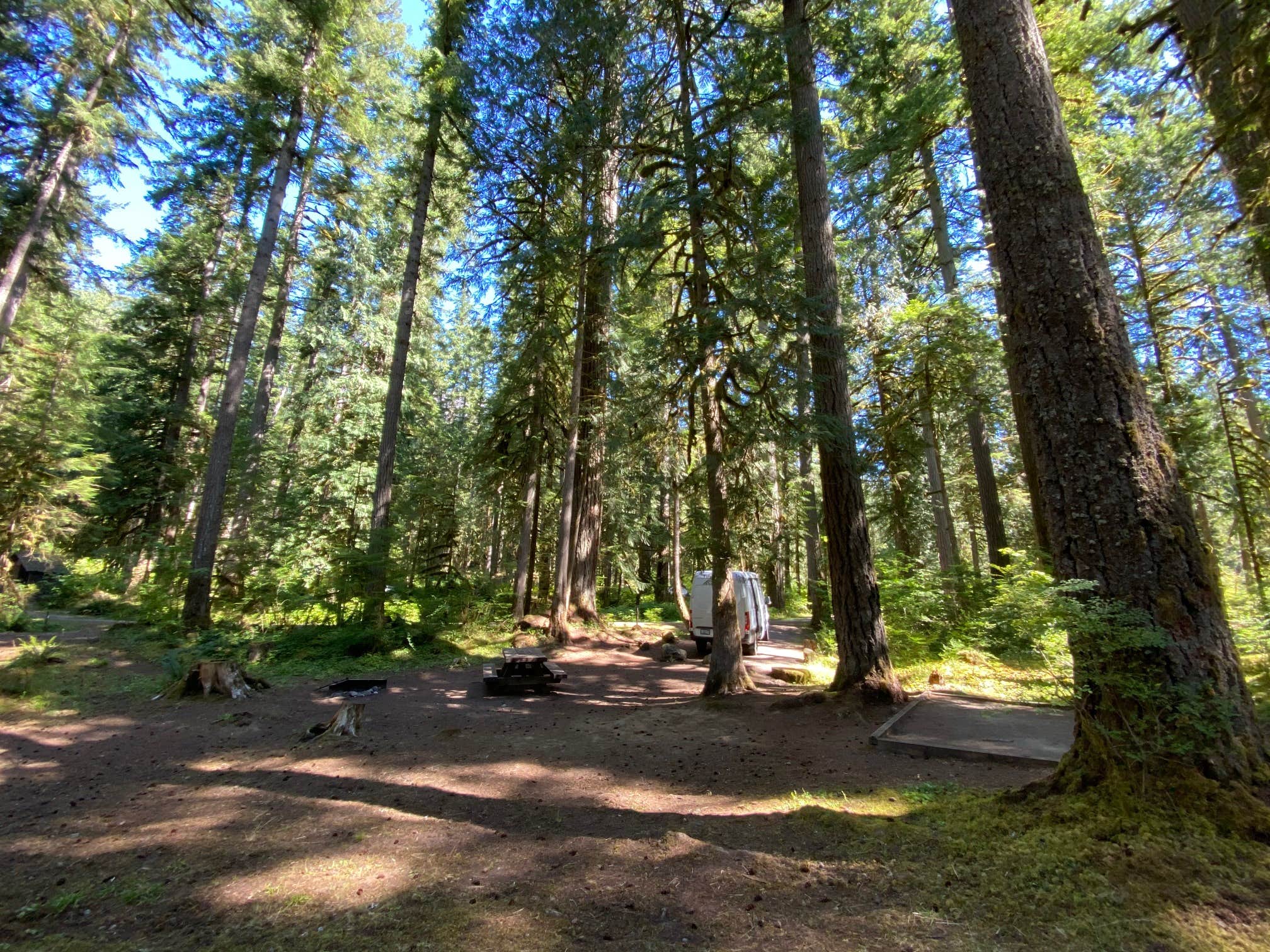 Camper-submitted photo at Douglas Fir Campground near Maple Falls, WA