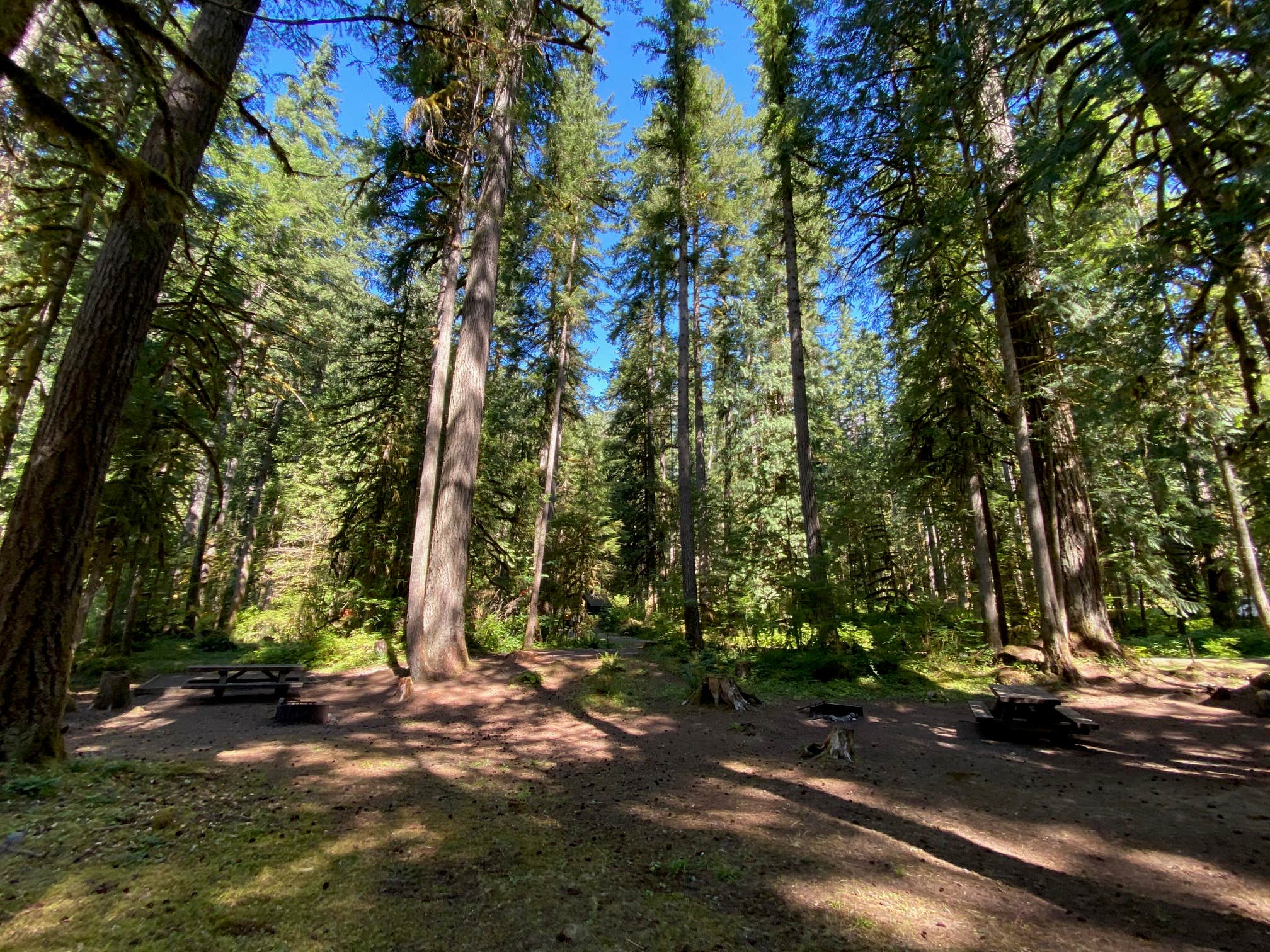 Camper-submitted photo at Douglas Fir Campground near Maple Falls, WA