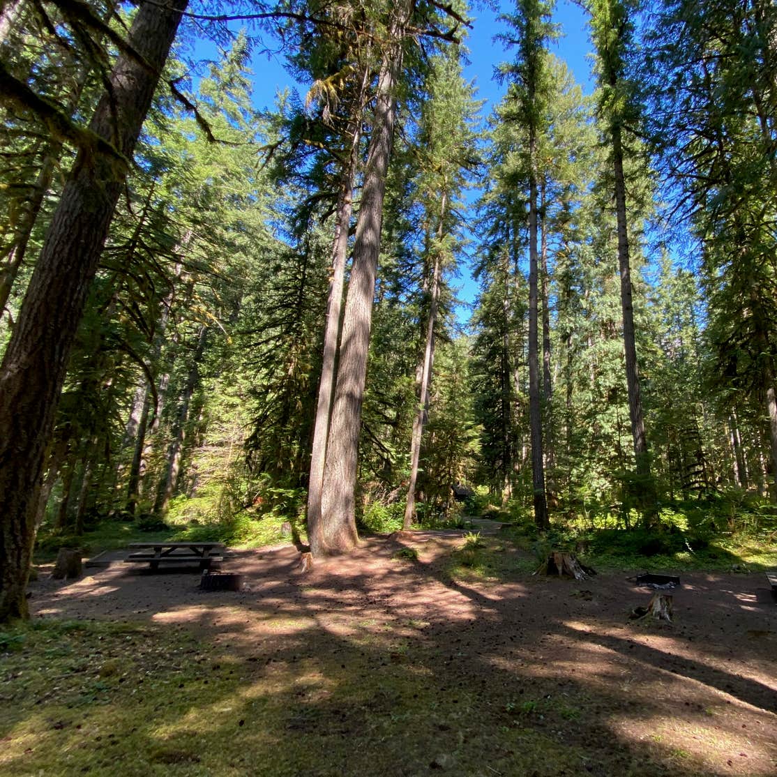 Douglas Fir Campground | Maple Falls, WA