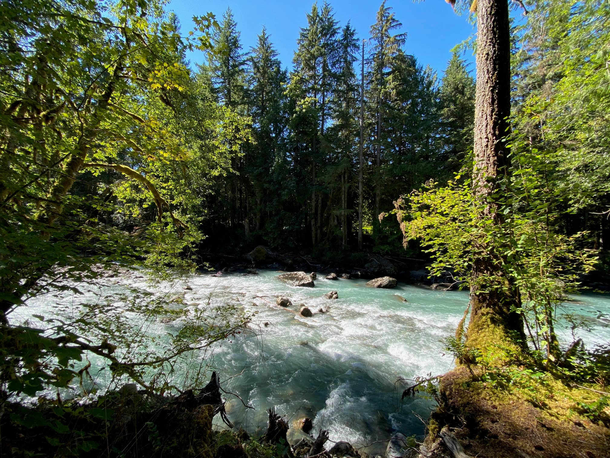 Camper-submitted photo at Douglas Fir Campground near Maple Falls, WA