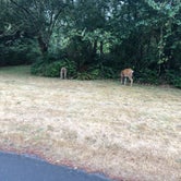 Review photo of Fort Stevens State Park Campground by Laynie , September 6, 2020