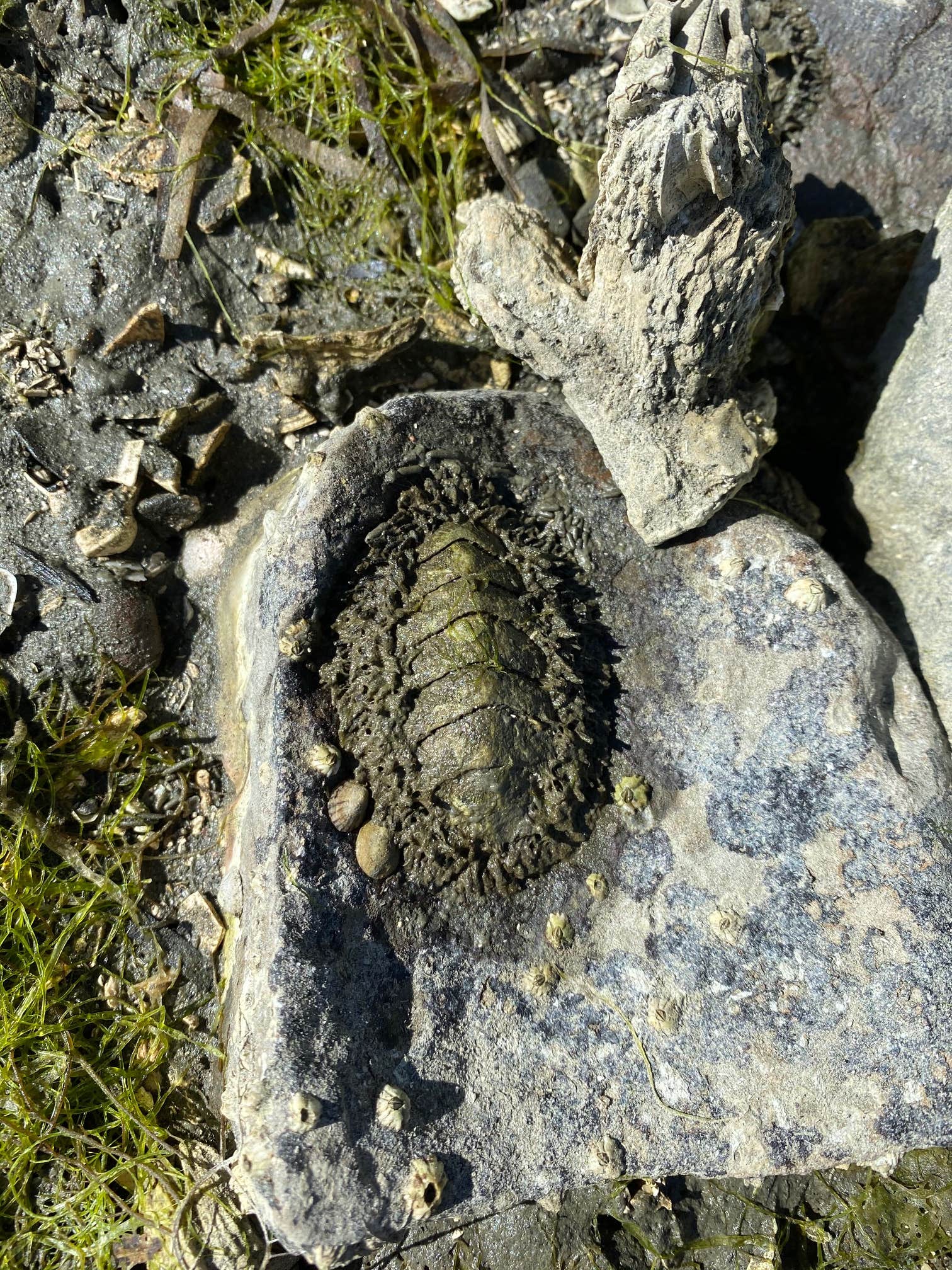 Camper-submitted photo at Sequim Bay State Park Campground near Sequim, WA