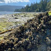 Review photo of Sequim Bay State Park Campground by Esther Y., September 6, 2020