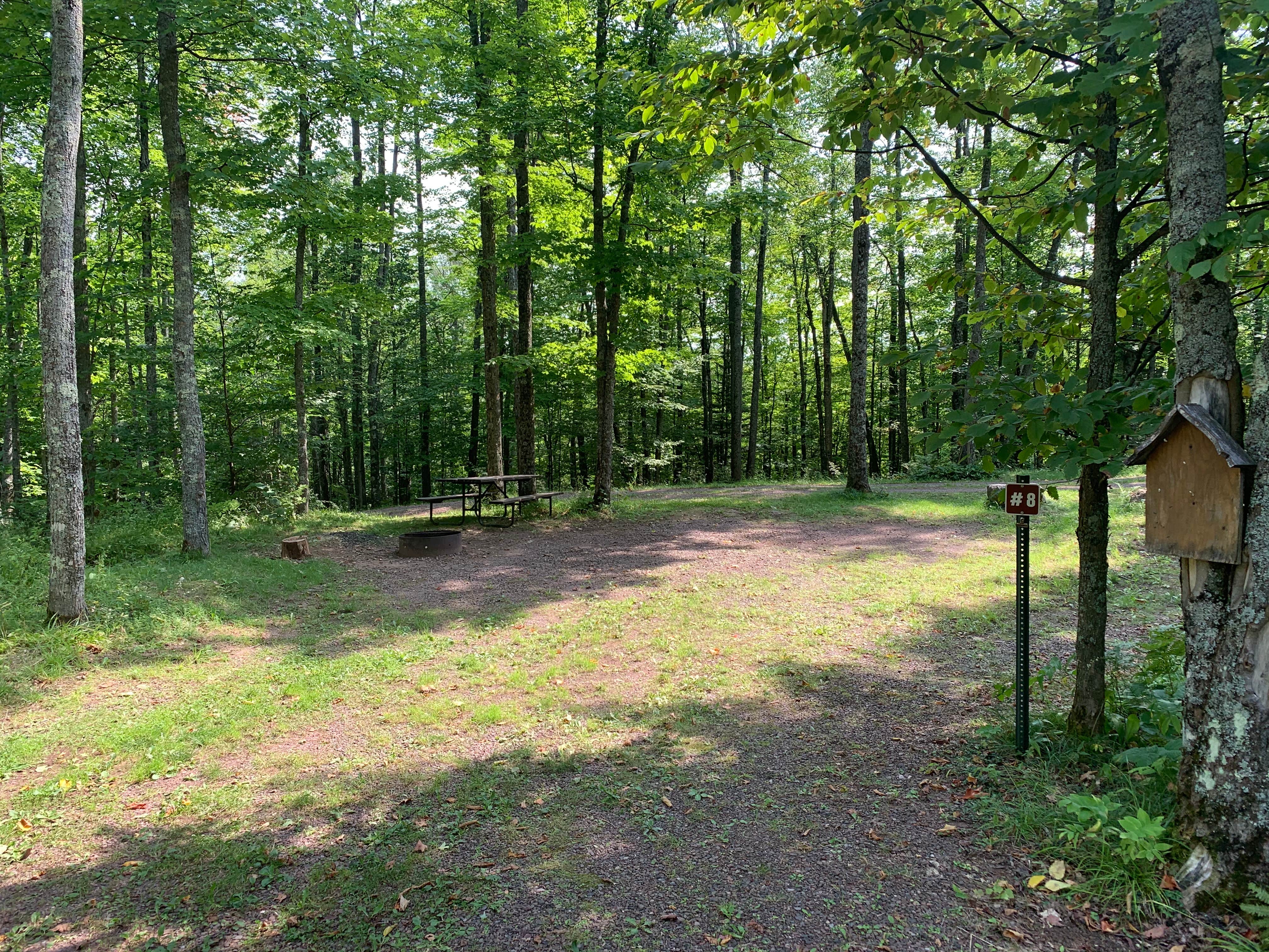 Camper-submitted photo at Weber Lake County Park near Upson, WI