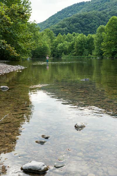 Camper submitted image from Big Bend Campground - 3