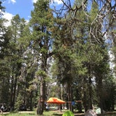 Review photo of Bear Valley Dispersed Camping by Esther Y., September 6, 2020