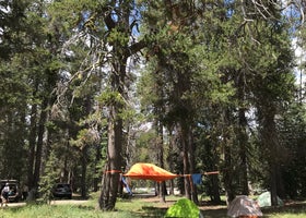 Bear Valley Dispersed Camping
