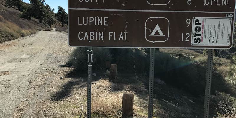 Camper submitted image from Blue Ridge Campground