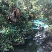 Review photo of Juniper Springs Rec Area - Tropical Camp Area by Adriana , September 7, 2020