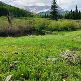 Review photo of Matterhorn — Grand Mesa, Uncompahgre And Gunnison National Forest by Erik S., September 7, 2020