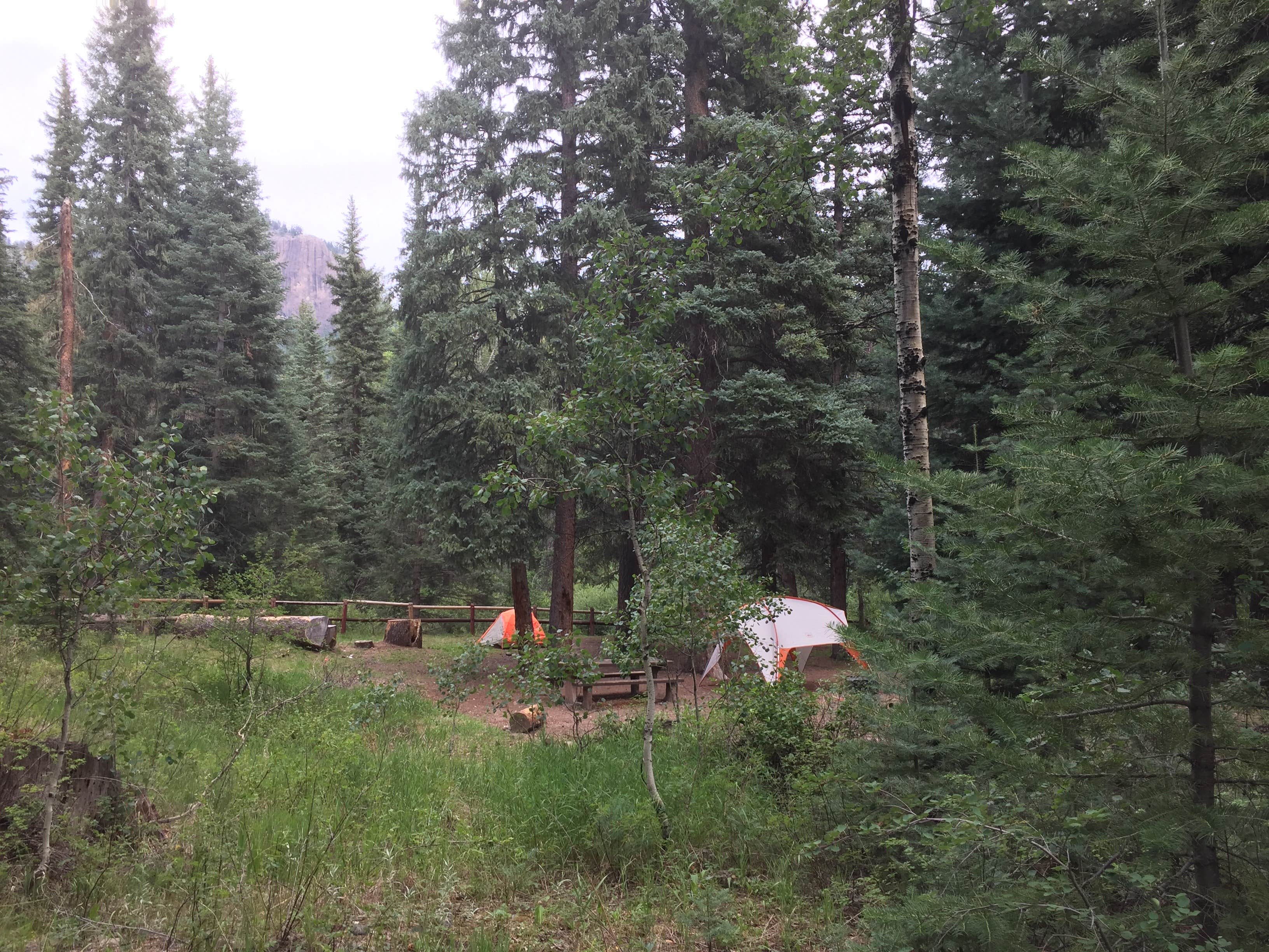 Camper submitted image from Cimarrona Campground - 3
