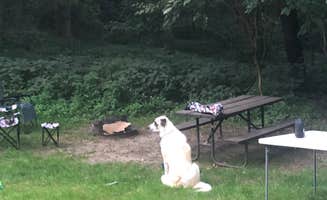 Kirsten's photo of camping with pets at Riverfront Campground — Ponca State Park near Rock Valley, IA