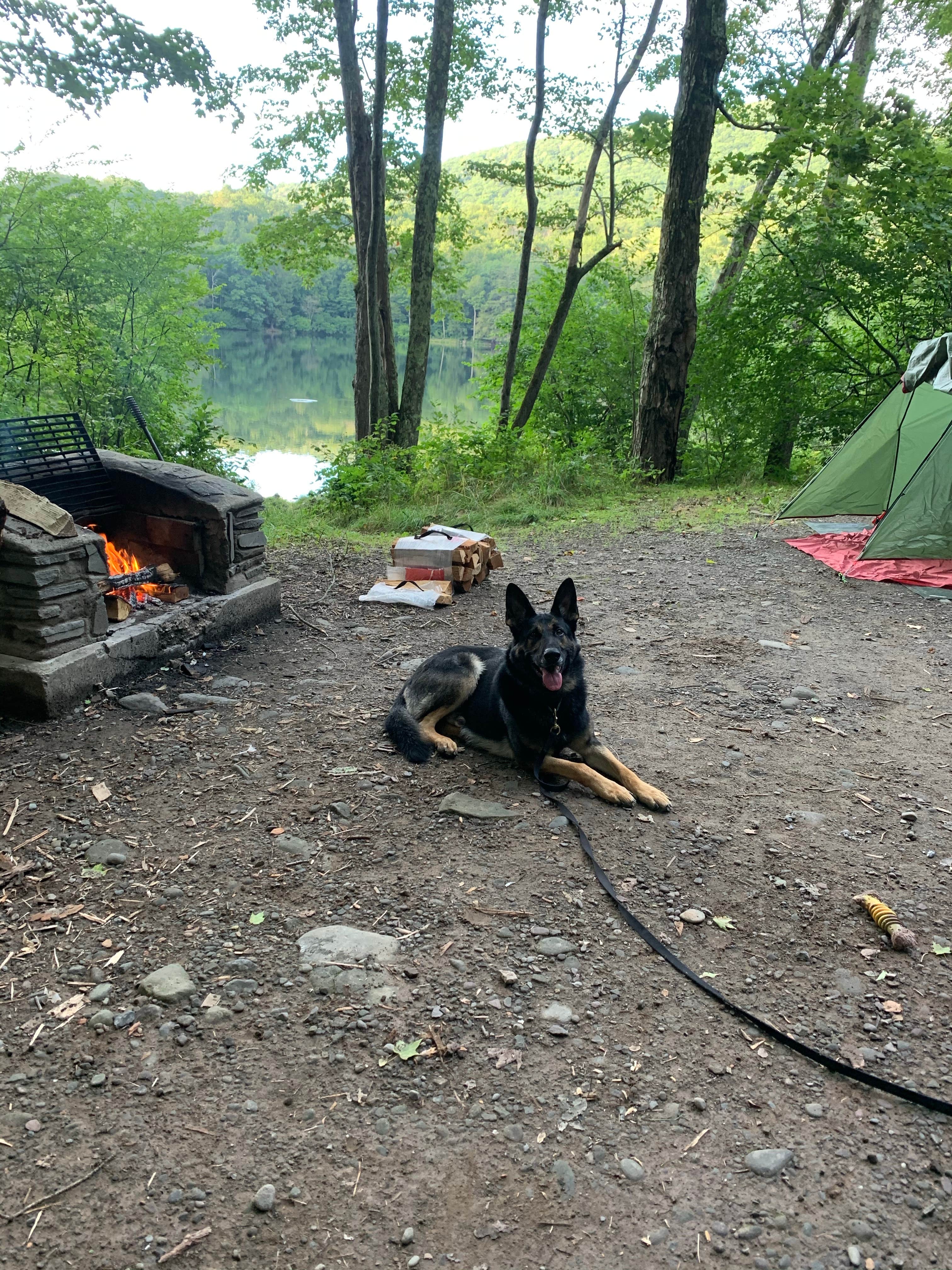 Mike C.'s photo of camping with pets at Little Pond Campground near Roscoe, NY