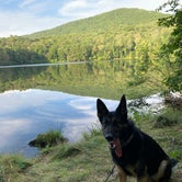 Review photo of Little Pond - DEC by Mike C., September 7, 2020