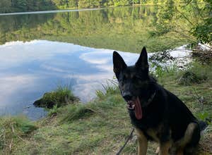Little Pond Campground