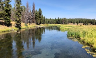 Camping near Snake River — Yellowstone National Park: Ashton-Flagg Ranch Road, John D. Rockefeller Jr. Memorial Parkway, Wyoming