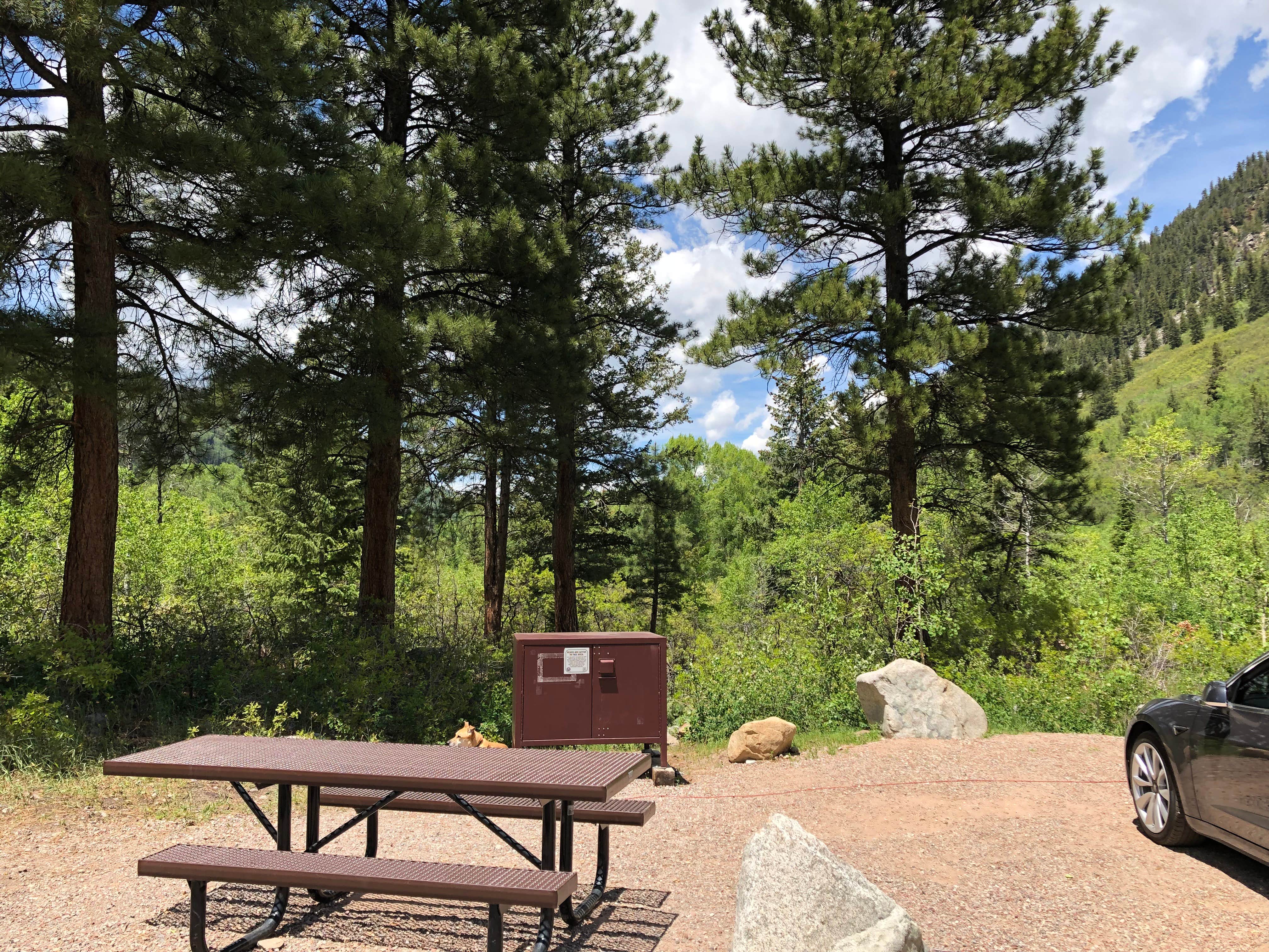 Camper-submitted photo at Difficult Campground near Crested Butte, CO