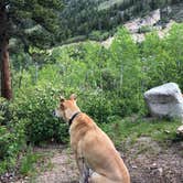 Review photo of Difficult Campground by Erik S., September 7, 2020