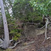 Review photo of Wolfe's Neck Oceanfront Campground by Wendy M., September 7, 2020