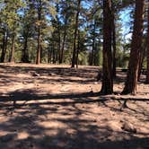 Review photo of Buffalo Springs by Amanda M., September 7, 2020
