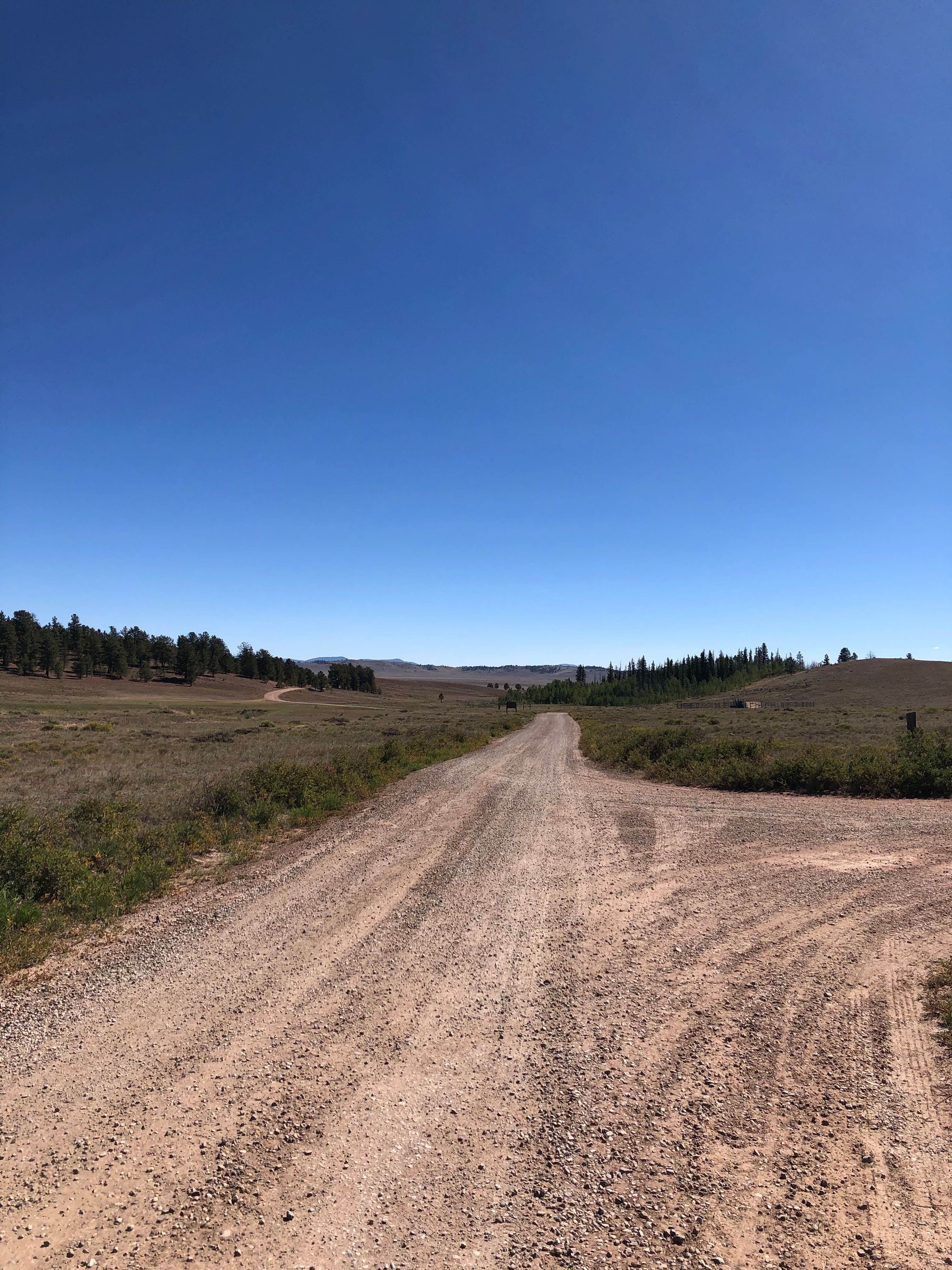Camper-submitted photo at Buffalo Springs near Hartsel, CO