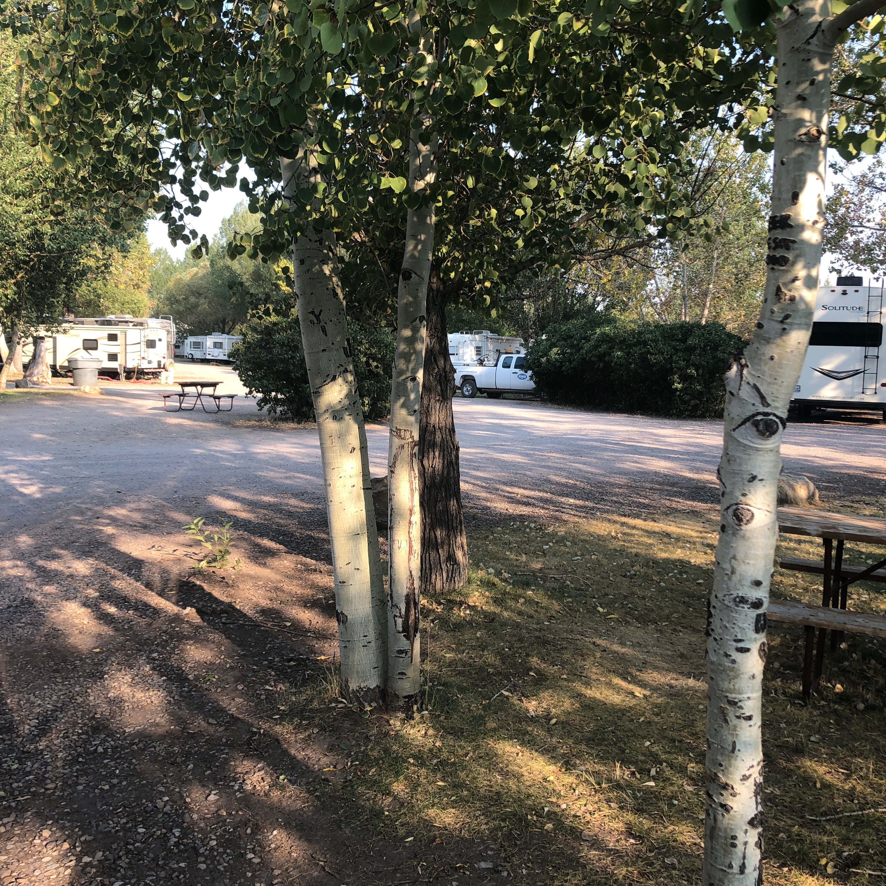 Camper submitted image from Phillips RV Park - 3