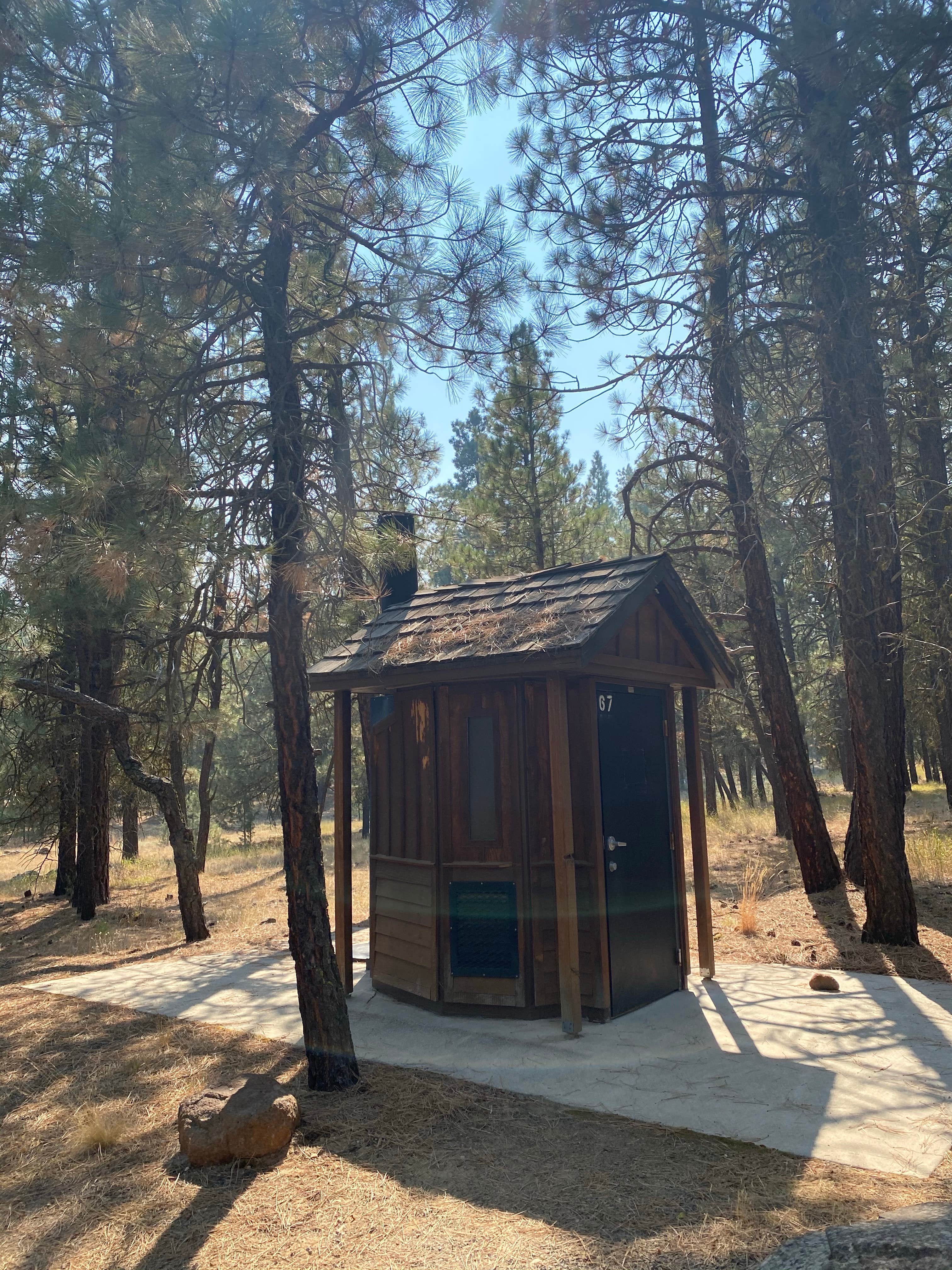 Camper submitted image from Yellowjacket - 3