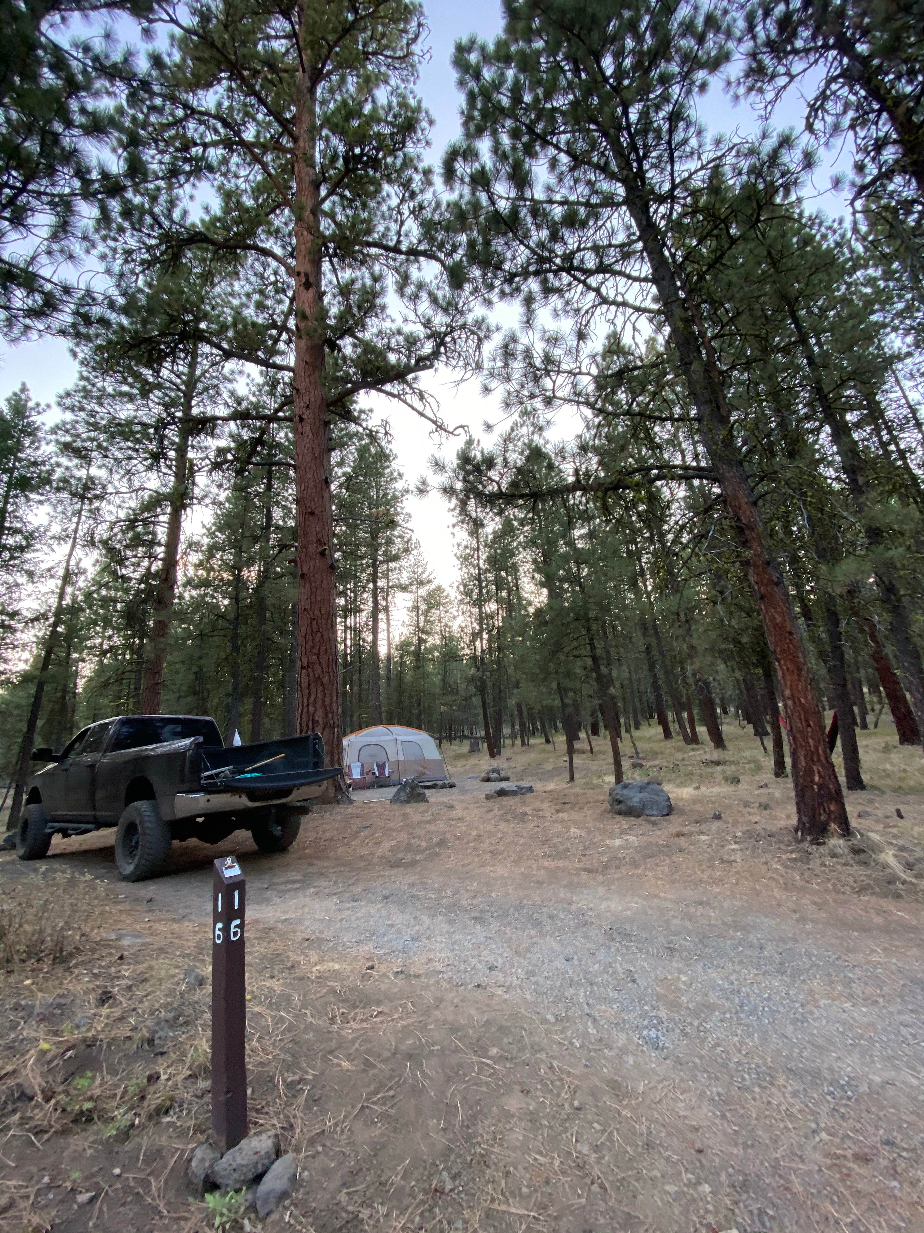 Camping near Doe Springs: Yellowjacket, Burns, Oregon